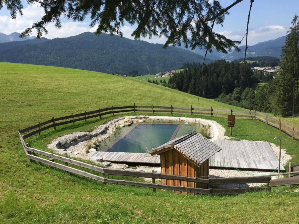 Sonnleit'N Zimmer 6 Abtenau Luaran gambar